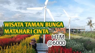 Download lagu Taman bunga matahari cinta|htm nya@6000|ito swit mp3