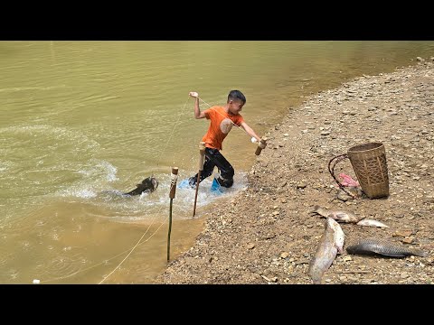 365 days fishing, Full video Highland boy khai catching large catfish and carp to sell.