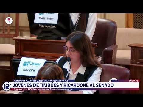 Jóvenes al Senado: Estudiantes de Ricardone y Timbúes sesionaron en la Cámara de Santa Fe