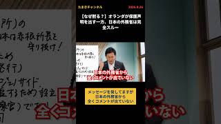 【なぜ黙る？】オランダが保護声明を出す一方、日本の外務省は完全スルー #国民民主 #玉木雄一郎  #たまきチャンネル #ICC #外務省 #トランプ #アメリカ