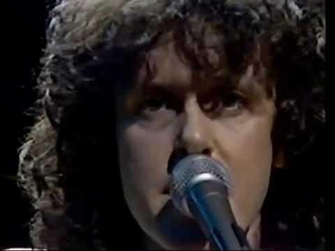 Donovan In Concert (1981) Rare Performance