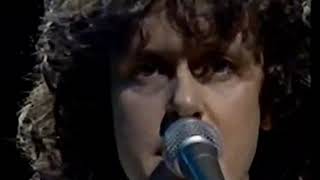 Donovan In Concert (1981) Rare Performance