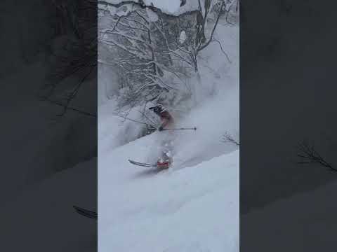 Tsugaike powder day!! #skiing #ski #powderskiing #japan #hakuba