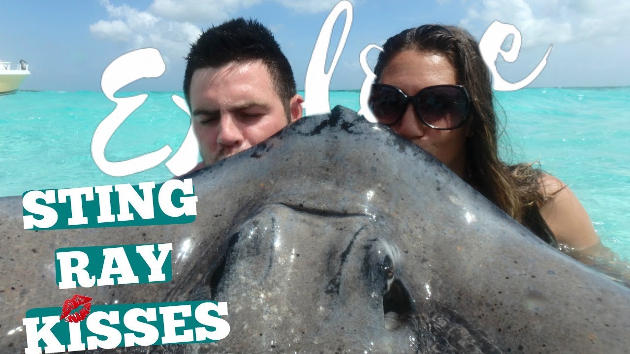 SWIMMING WITH STING RAYS!!