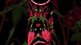 Download lagu Grupo Bryndis Esta Triste Soledad mp3