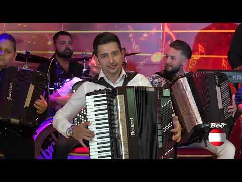 Denis, Zoran Profa i skola Dimic - Denisova sumadinka - Sezam produkcija (Tv Sezam 2020)