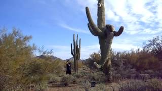 Video thumbnail for Desert Blues Jam: Fender Mustang Mini Amp & Red Howler Harmonica Mic - Lower the volume on this one by John Fliss StellarChi