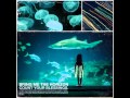 Bring Me The Horizon - Pray For Plagues (HQ ...