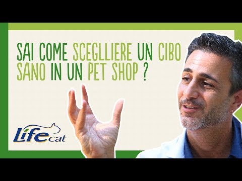 I parassiti che vivono in un acquario Sospensione da un verme per gatti