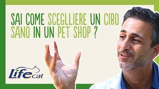 Come scegliere un cibo sano per il tuo gatto?