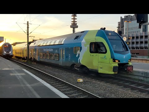 Die Triebzüge Stadler KISS bei der Westfalenbahn (und bei der ODEG)