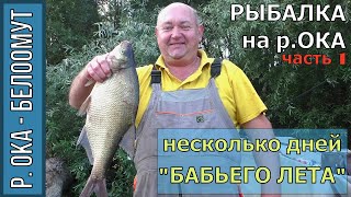 preview picture of video 'Рыбалка на Оке в Белоомуте, 1 часть, Фидер, Лещ, несколько дней "Бабьего лета", сентябрь 2018г.'