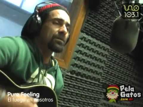 Pure Feeling - El fuego en nosotros - Nonpalidece - Reggae en PelaGatos