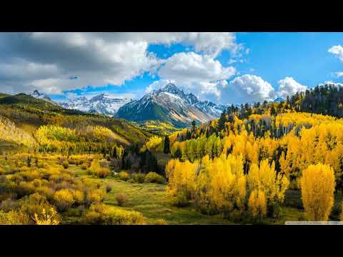 Evebe feat. Danny Claire - Everything (Timo Pralle Remix) [Abora]