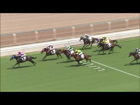 11/7/2021 (819) Gluck Racer - C Schofield