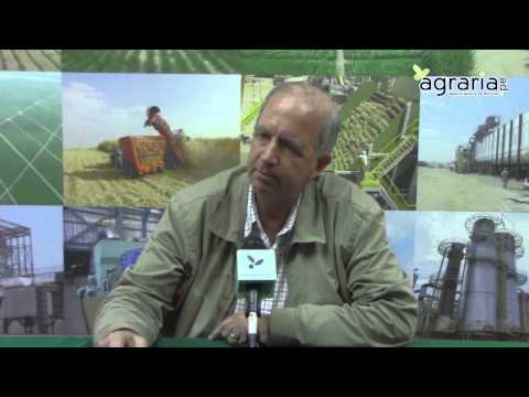 Entrevista al Ing. Fernando Cillóniz: Electo presidente regional de Ica