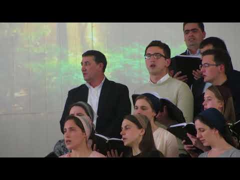 Corul din Bivolarie-AM INTILNIT UN TRIST PASTOR...