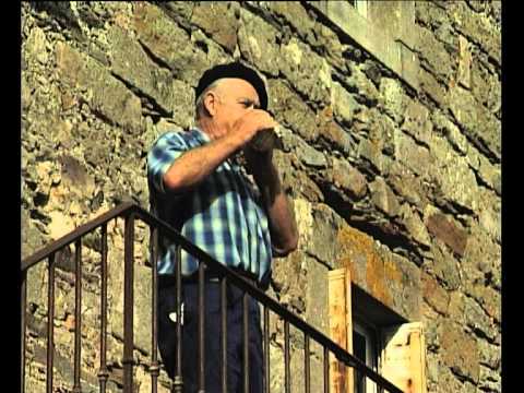 La còrna (L'aurelha de peis)
