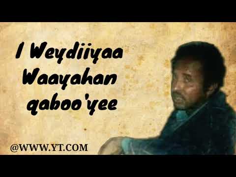 Axmed Mooge Liibaan 🔥Iyo Heesta "WACNEYDE ADO" ( NUGUL )