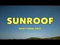 Nicky Youre Dazy Sunroof Lyrics