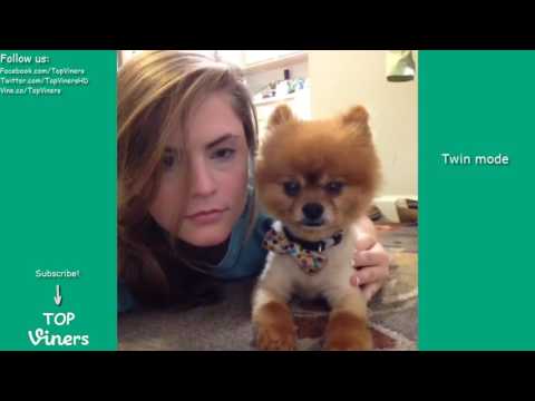 Sara Hopkins Vine Compilation with Titles! - BEST Sara Hopkins Vines 2017 | Top Viners