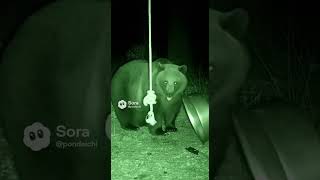 古典的罠に引っかかる熊　A bear caught in a classic trap. #ai