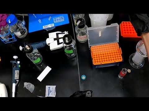 CBCH 4414 Lab - Thin-Layer Chromatography