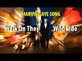 Marvin Gaye Walk On The Wild Side