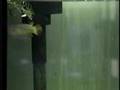 Killifish Eats Mealworm Maybe
