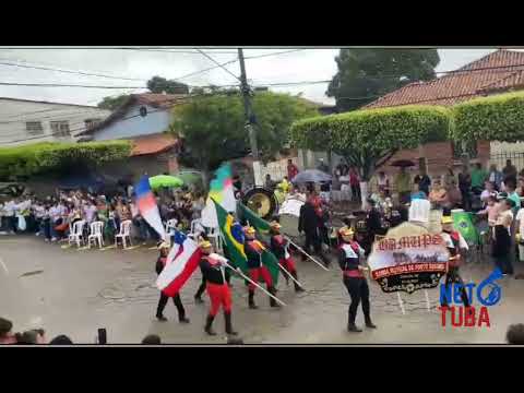 DANCE BALANCE - BAMUPS Em Salto Da Divisa