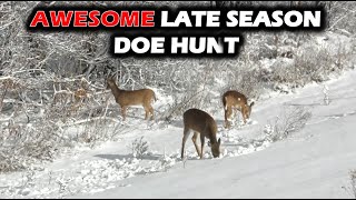 AWESOME Late Season Doe Hunt - My Season is Complete in SW Michigan