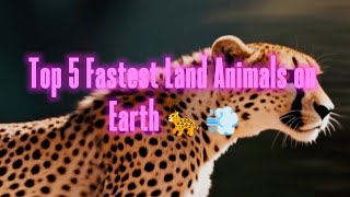 Top 5 Fastest Land Animals on Earth 🐆💨 | Mind-Blowing Animal Speed Facts!