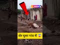 शेर घुस गया गांव में फिर देखो क्या हुआ S