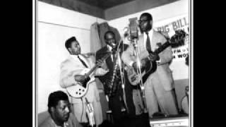 ELMORE JAMES  I cant Hold OUT .flv