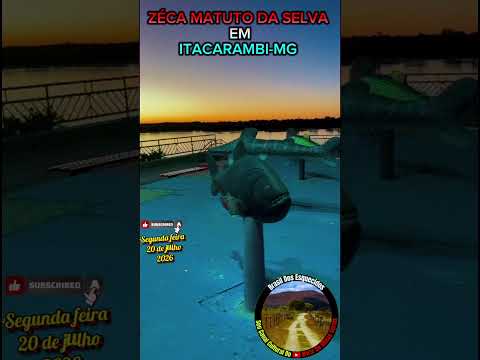 ZÉCA MATUTO DA SELVA INDO PRÁ MIÁ IÁ EM ITACARAMBI-MG+BRAZIL ##vidanosertão ##humorcomedia