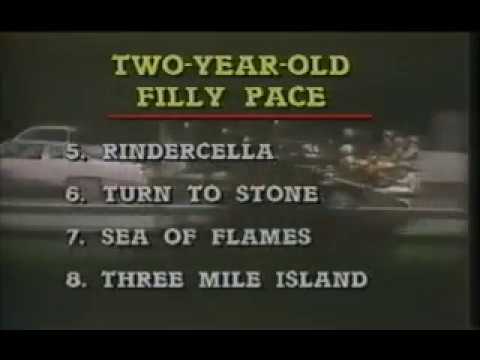 1987 Freestate Raceway LEAH ALMAHURST Breeders Crown 2yo Filly Pace Bill Fahy