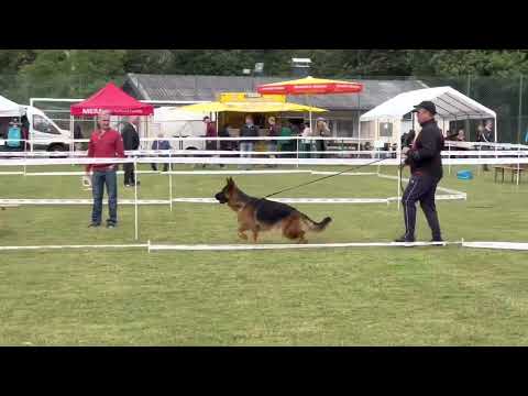 Eros team Tierras Charras, 11 months