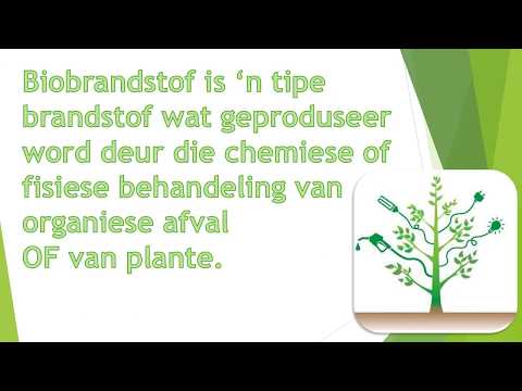 FISIESE WETENSKAP GRAAD 8: 5 Junie 2020 - periode 6 (05086)