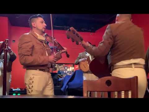 Promotional video thumbnail 8 for Mariachi Arraigo de America