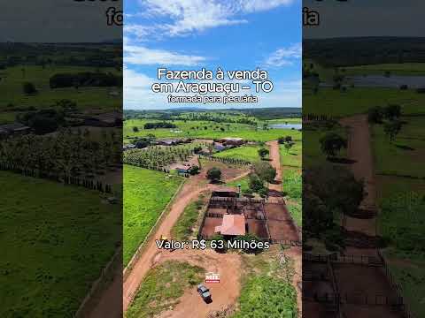 Fazenda à venda em Araguaçu – TO | 421 alqueires (2.037 hectares) # #fazendaavenda #agro