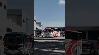 Download lagu Mira Aishiteru 2 Reborn #shorts #bus #busjawatimuran #busbalap #trend #viral #fypシ mp3 Download lagu Mira Aishiteru 2 Reborn #shorts #bus #busjawatimuran #busbalap #trend #viral #fypシ mp3