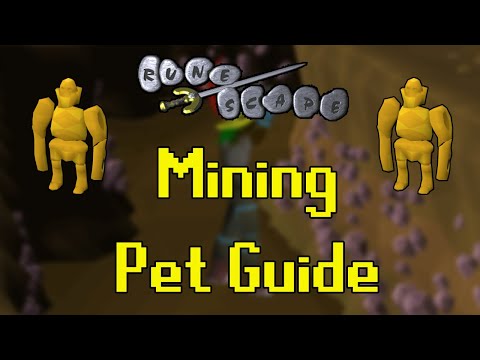Old School RuneScape Mining Pet Guide (Fastest/AFK)