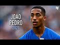 Joao Pedro 2023 - Amazing Skills & Goals | HD