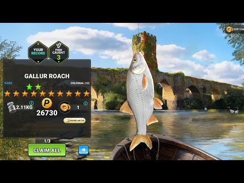 I CAUGHT 12 STAR NEW RARE FISH - GALLUR ROACH l FISHING CLASH GAMEPLAY 