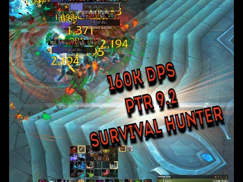 Surv Hunter 160k  +20 The Necrotic Wake (PTR 9.2)