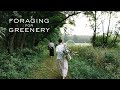 Foraging For Greenery What To Forage For Floral Design