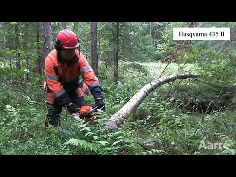 Aarre 2022 | Kokeilussa kymmenen edullista moottorisahaa