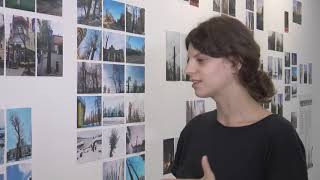 У Харкові презентують проект, присвячений проблемі знищення дерев