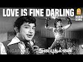 Love Is Fine Darling HD Video Song Thavapudhalavan Sivaji Ganesan KR Vijaya MSV