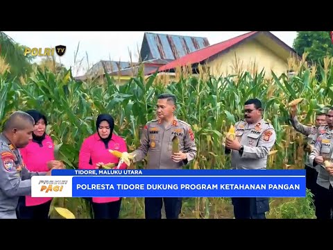 KEGIATAN PANEN JAGUNG PEKARANGAN PANGAN POLRESTA TIDORE